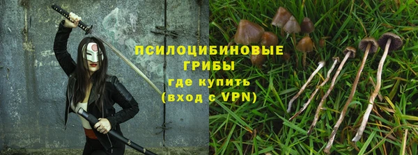 стафф Алексеевка