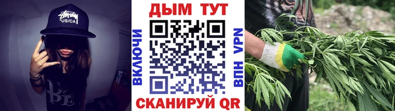 как найти закладки Дорогобуж Бошки Шишки сатива